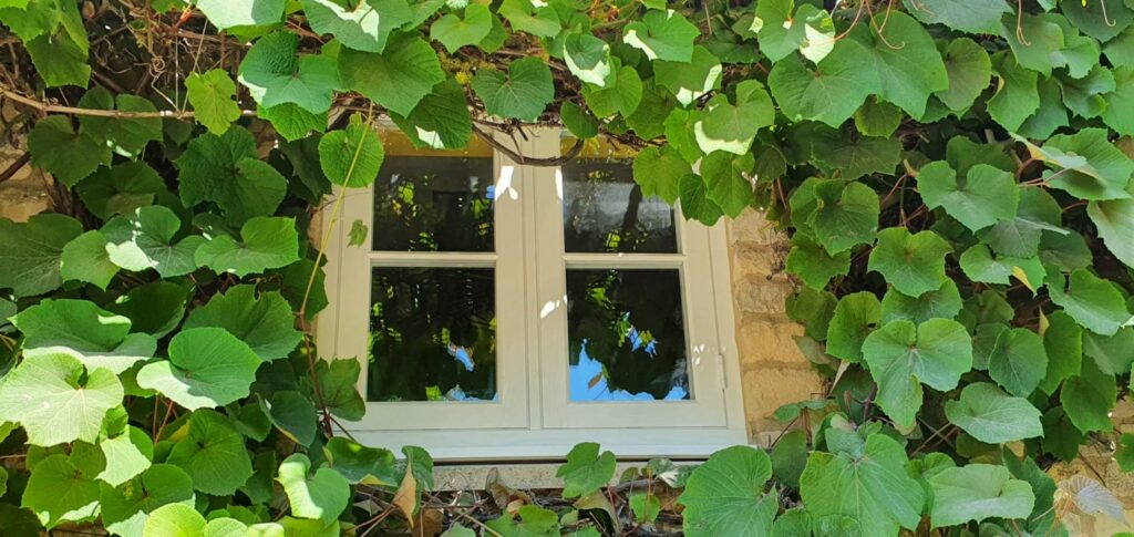 white timber look windows in a new build coach house