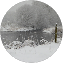 Steve Ellwood profile picture